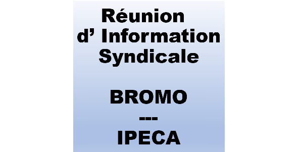 R&eacute;union d&rsquo;Information Syndicale