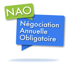 Revendications CFE-CGC pour les NAO ADS 2019