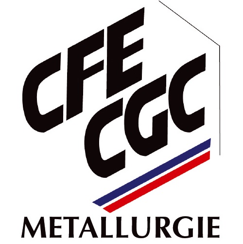 Métallurgie: le plan de sauvegarde des emplois et des compétences.